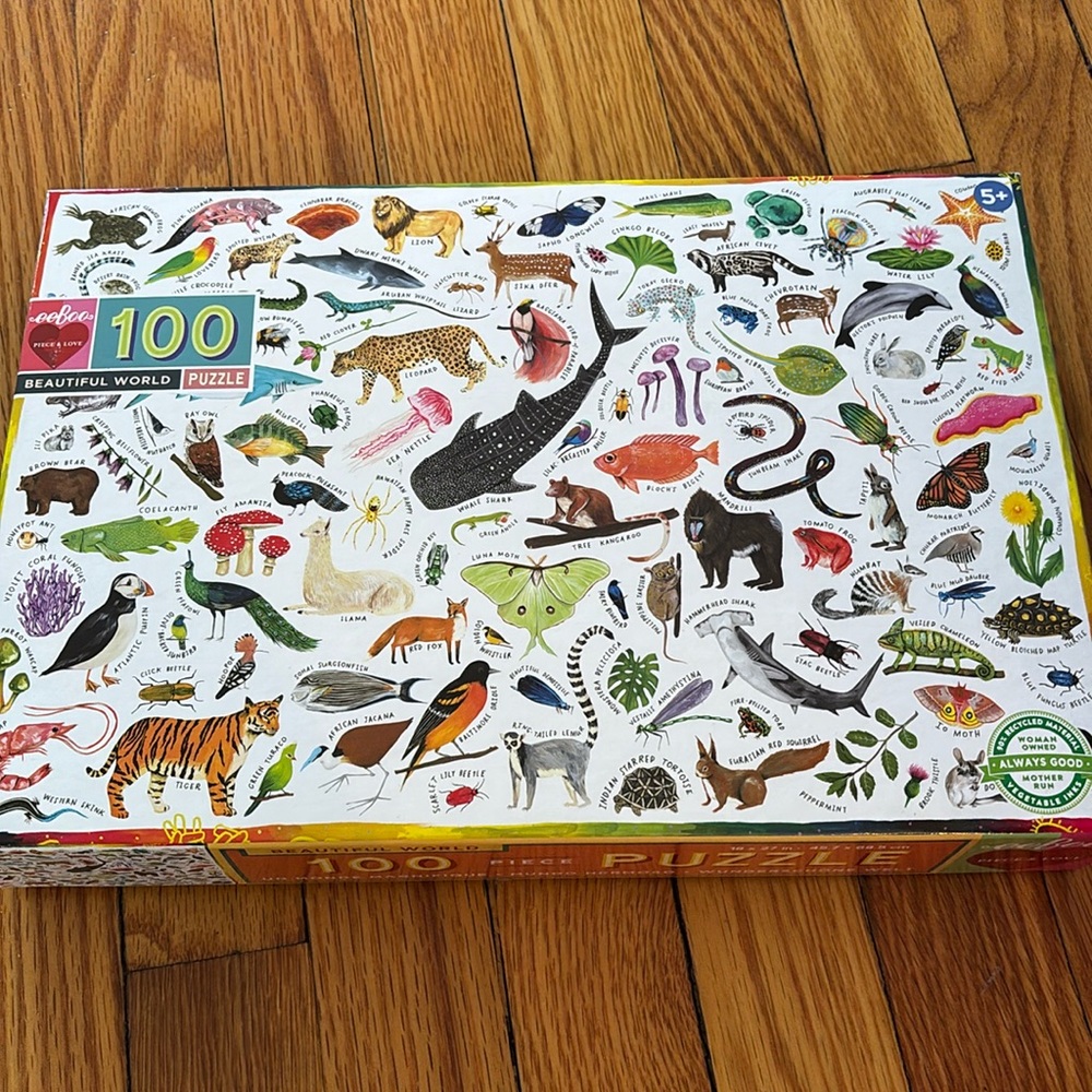 100 piece puzzle